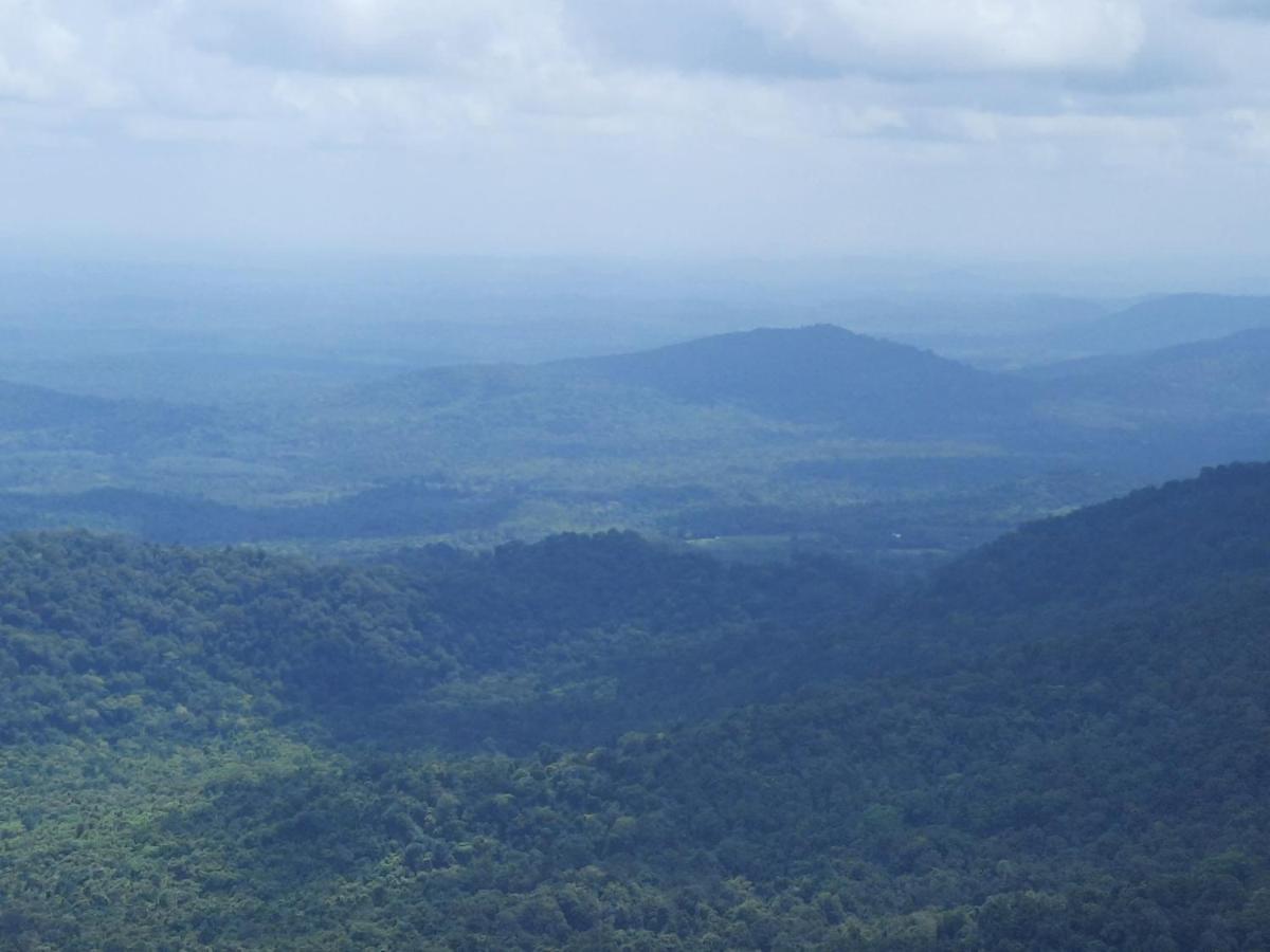 Villa Wodeyarmutt Tropical Luxury Living Sringeri Bagian luar foto